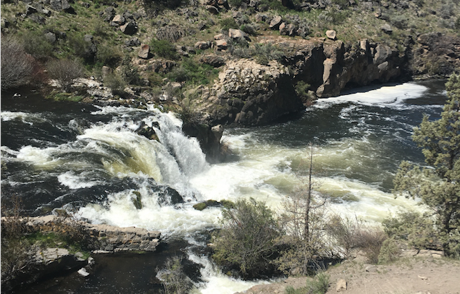 steelhead falls, middle deschutes river