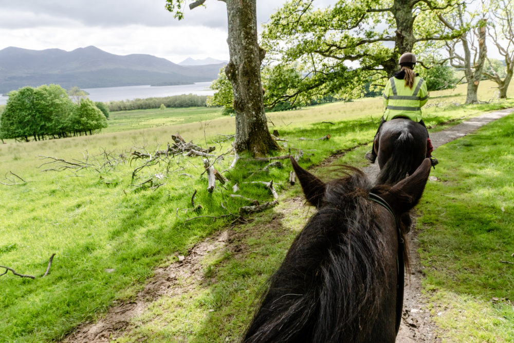 Horseback Riding in Killarney National Park