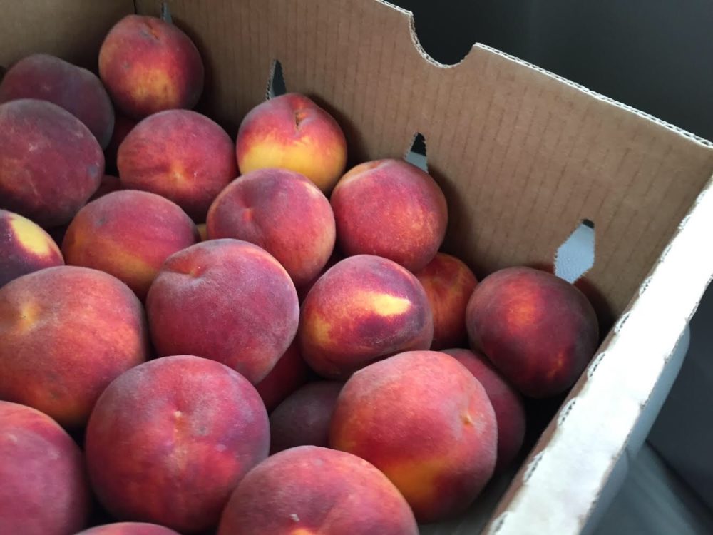 Colorado Peaches