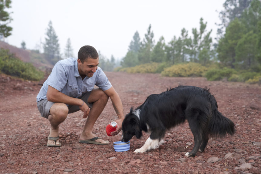 Traveling with your pet using HYDAWAY water bottles and dog bowls